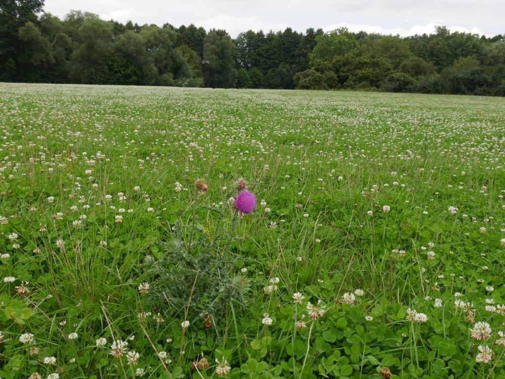 Klimaschutz - Umwelt - Nachhaltigkeit Klimaschutz - Umwelt - Nachhaltigkeit