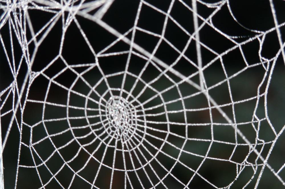 Transparenz -