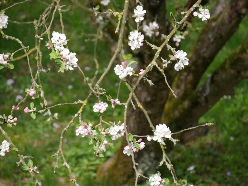 Umwelt - Nachhaltigkeit