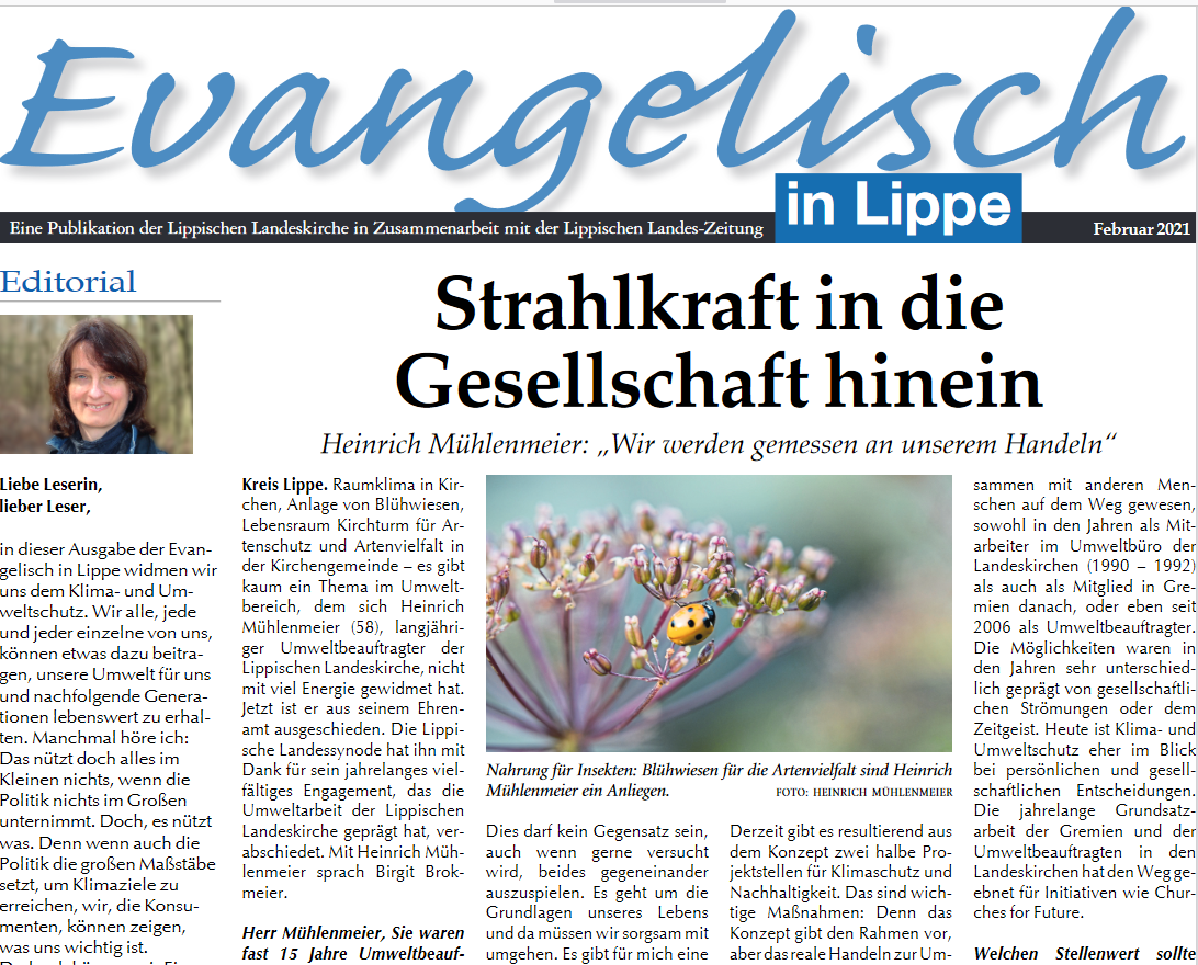 Evangelisch in Lippe -